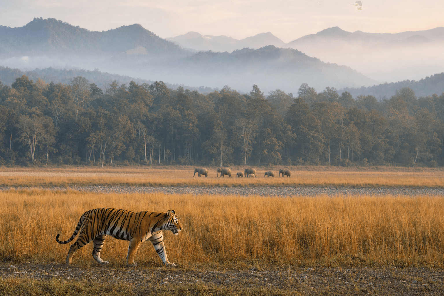 Jim Corbett National Park landscape preview